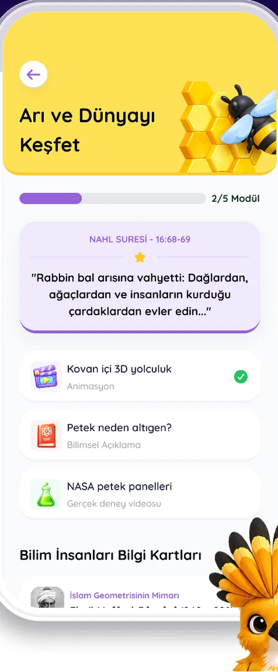 Arı ve Dünyayı Keşfet modülü: ayet, bilimsel açıklama, deney videosu