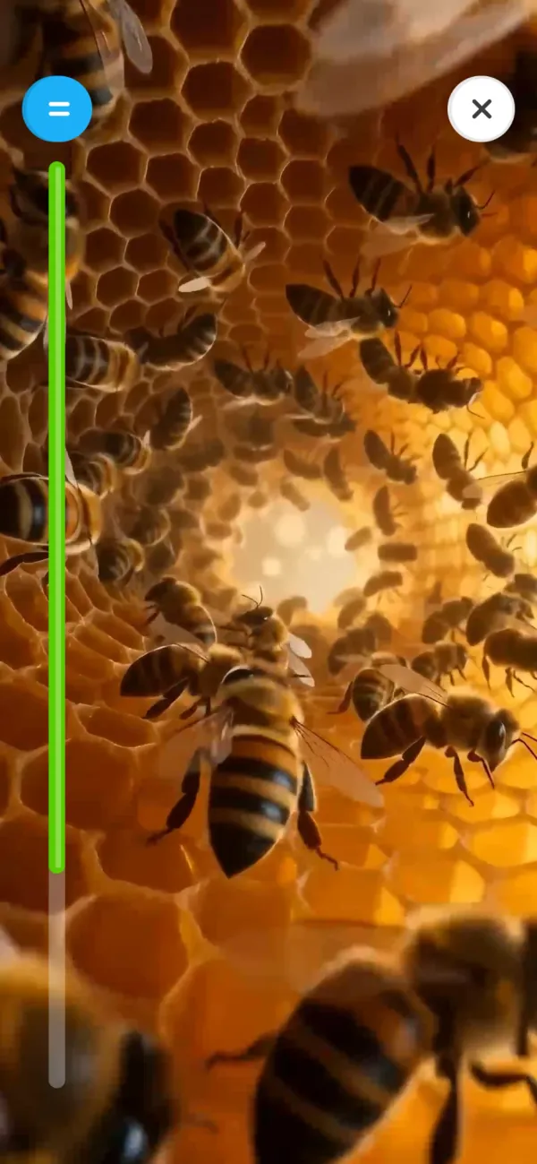 Uygulamadaki arı videosu: bal peteği üzerinde çalışan arılar